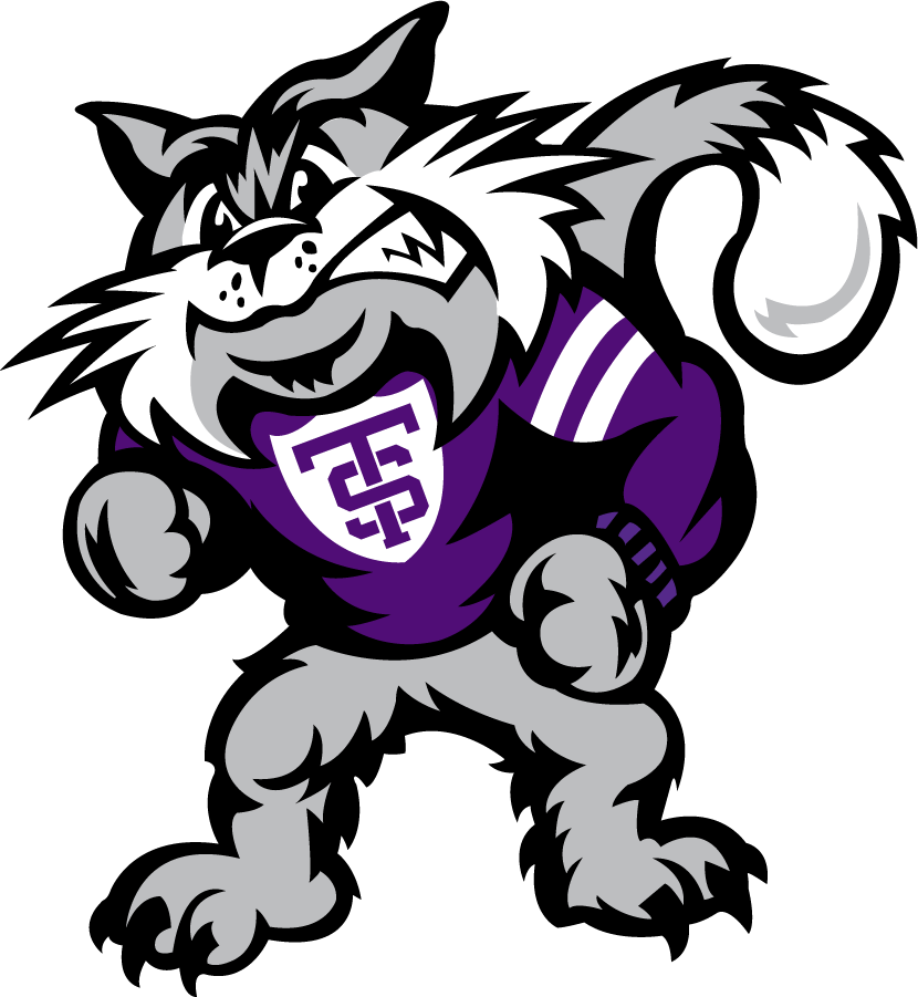 St. Thomas Tommies 2009-2021 Mascot Logo iron on transfers for clothing